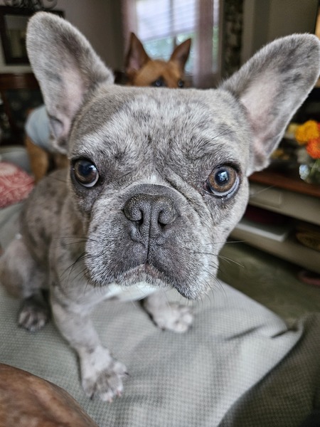 Entry image for Sushi. Clicking this image will show a larger photo