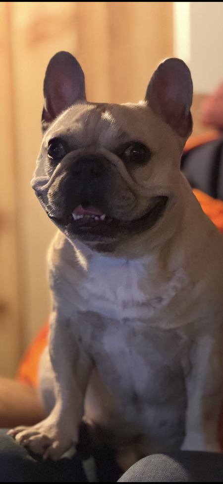 Entry image for Charlie. Clicking this image will show a larger photo