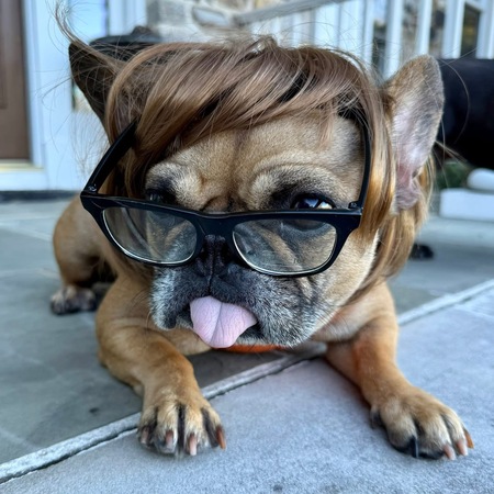 Entry image for Velma. Clicking this image will show a larger photo