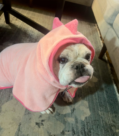 Entry image for Ruth. Clicking this image will show a larger photo