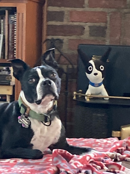 Entry image for Jaxson. Clicking this image will show a larger photo