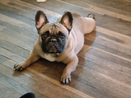 Entry image for Libby. Clicking this image will show a larger photo