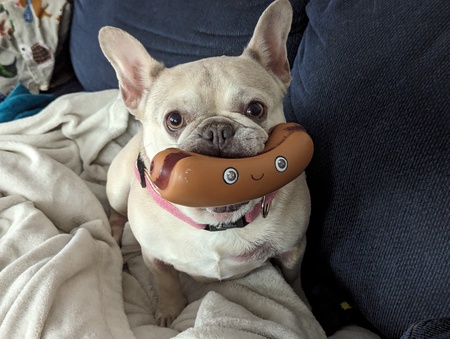 Entry image for Ivy. Clicking this image will show a larger photo