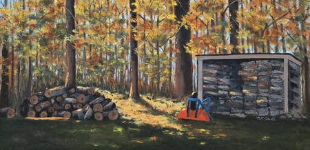 Entry image for Out of the Woods. Clicking this image will show a larger photo