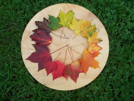 Entry image for Circle of life in WNY. Clicking this image will show a larger photo