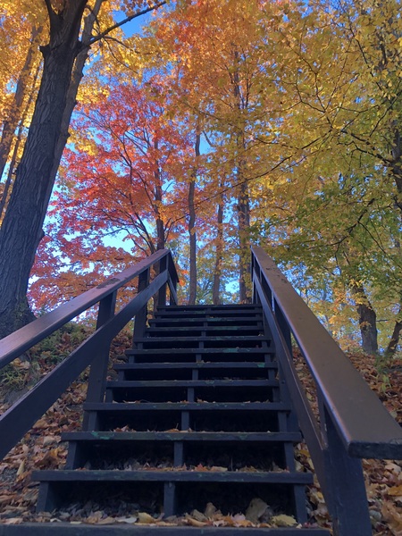 Entry image for Stairway to Colors at LESP. Clicking this image will show a larger photo