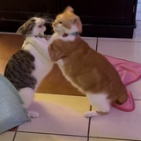 Entry image for teddy and kevin 