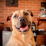 Entry image for Zeke