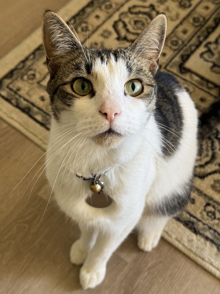 Lenny (254994)