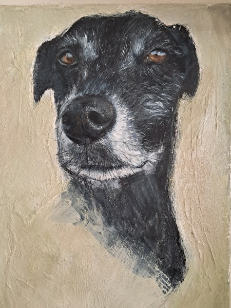 Albie