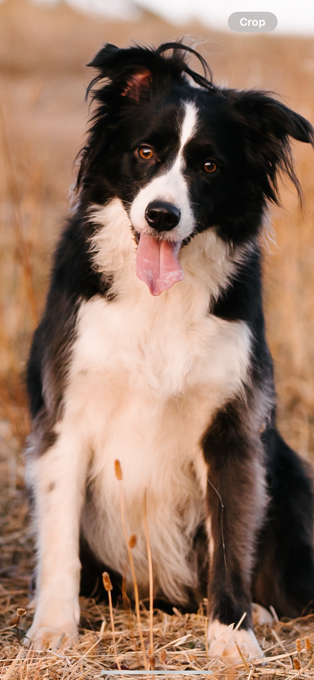 Max