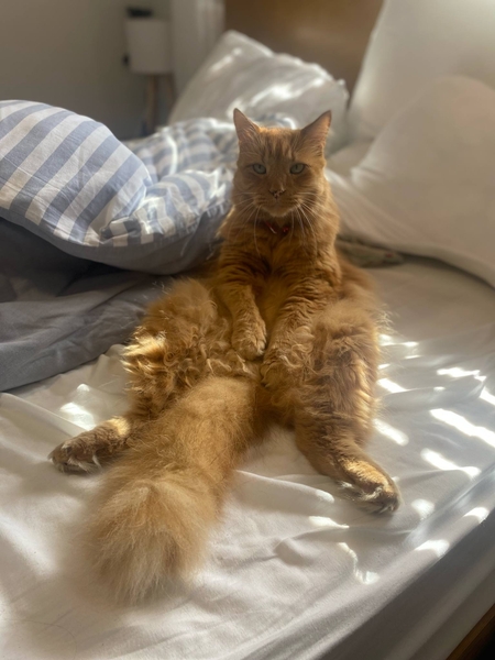 Butters