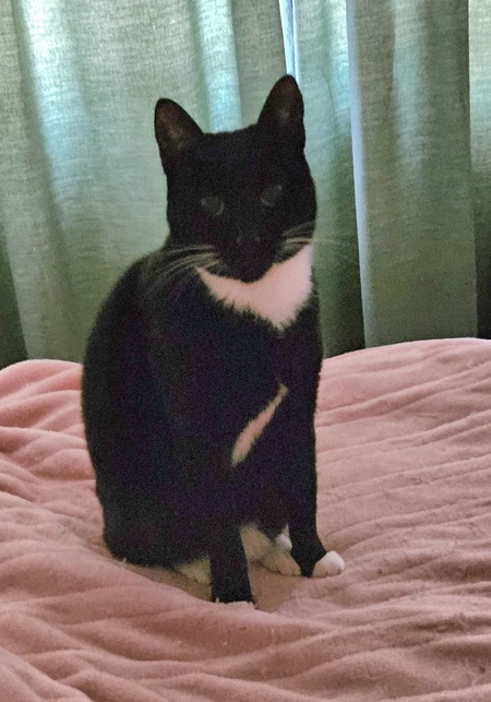 Bonnie