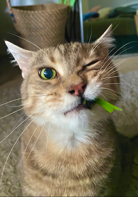 Charlie (Puddy)