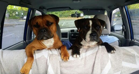 Otto and Ivy