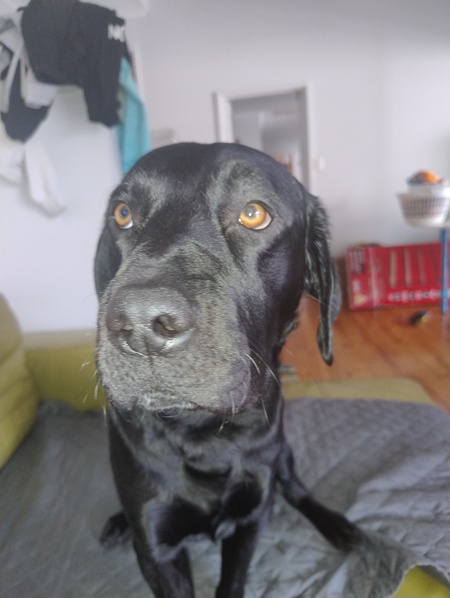 Cosmo