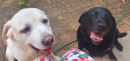 Boris and Bailey
