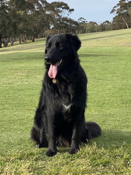 Mitzi