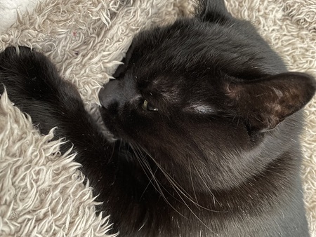 Onyx