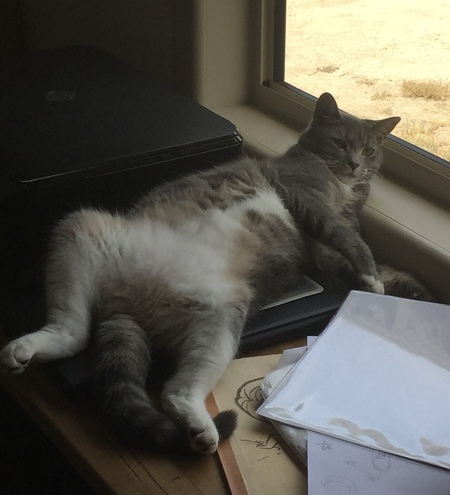 Mia