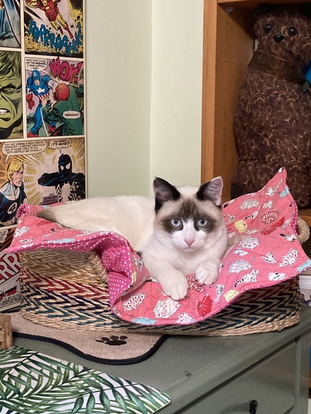 Nimbus