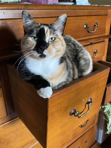 Molly