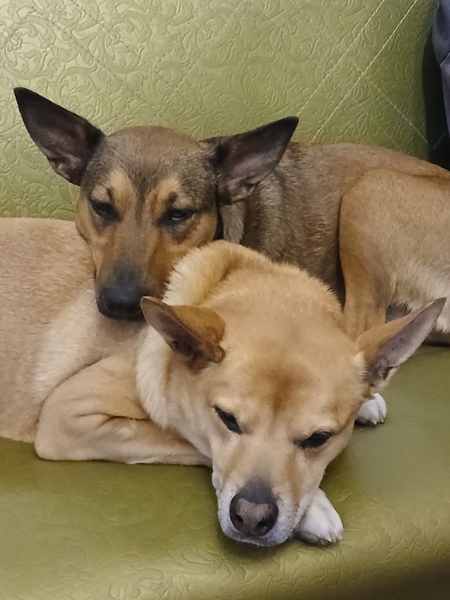 Mina and Selby