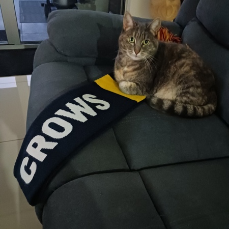 Missy ( formerly Breeze)