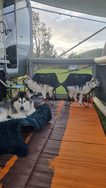 Kayla, Indy and blu