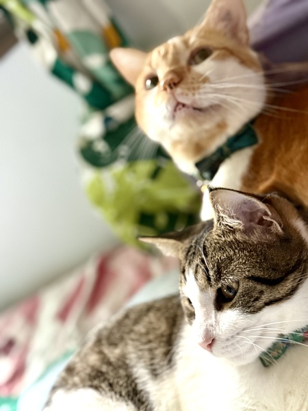 Teddy and kevin 