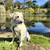 Entry image for Snowy