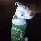 Entry image for Percy