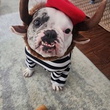 Entry image for Frankie