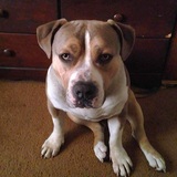 Entry image for Duke