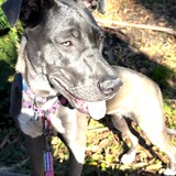 Entry image for Coco