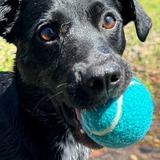 Entry image for Magic