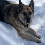 Entry image for Boon