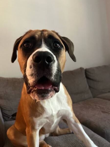 Brunhilde