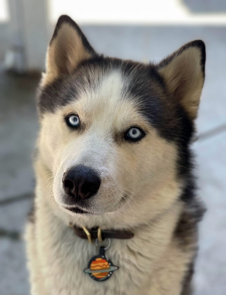 Entry image for Max. Clicking this image will show a larger photo