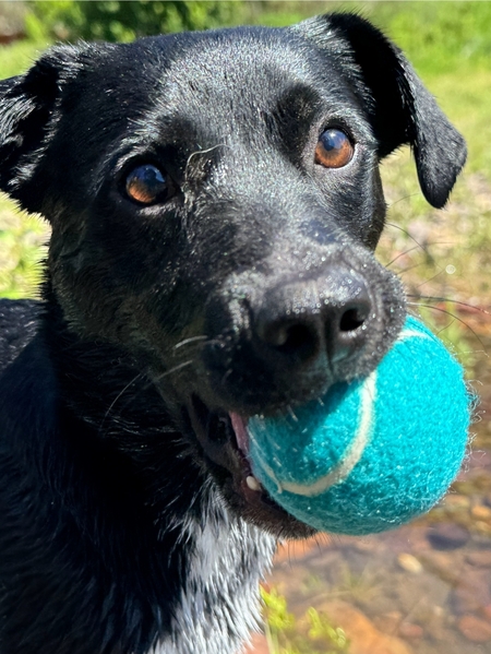 Entry image for Magic. Clicking this image will show a larger photo