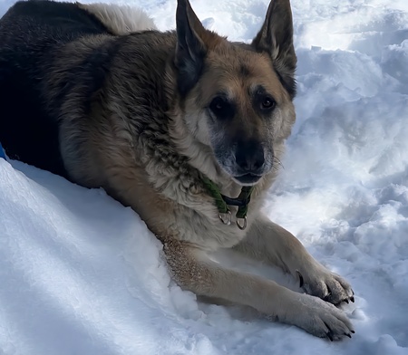 Entry image for Boon. Clicking this image will show a larger photo