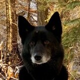 Entry image for Kai