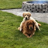 Entry image for Leo & Louie
