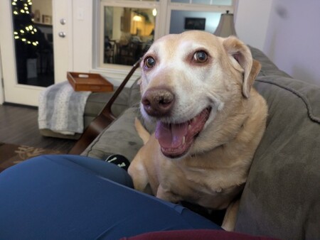 Entry image for Miss Piper Rodriguez. Clicking this image will show a larger photo