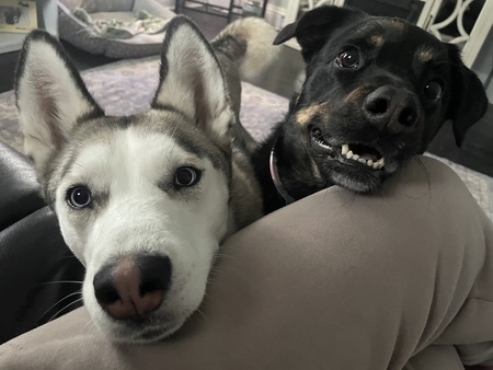 Artemis & Monkey