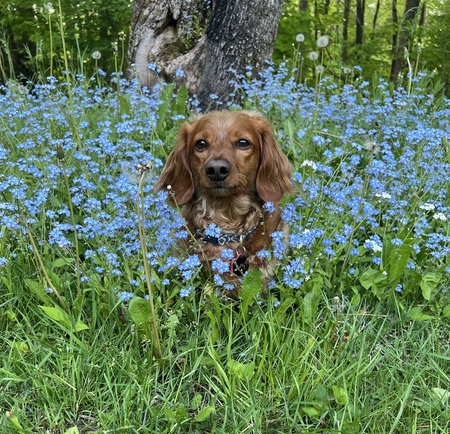 Duffy 
