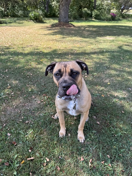 Zoey 