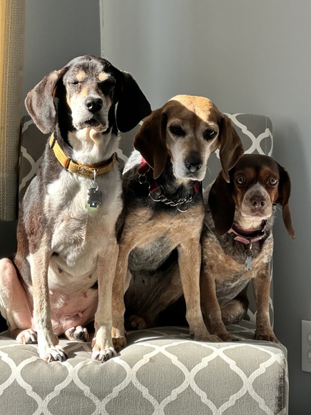 Matilda, Ruby & Sally