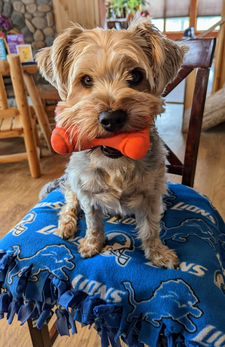 Sammy