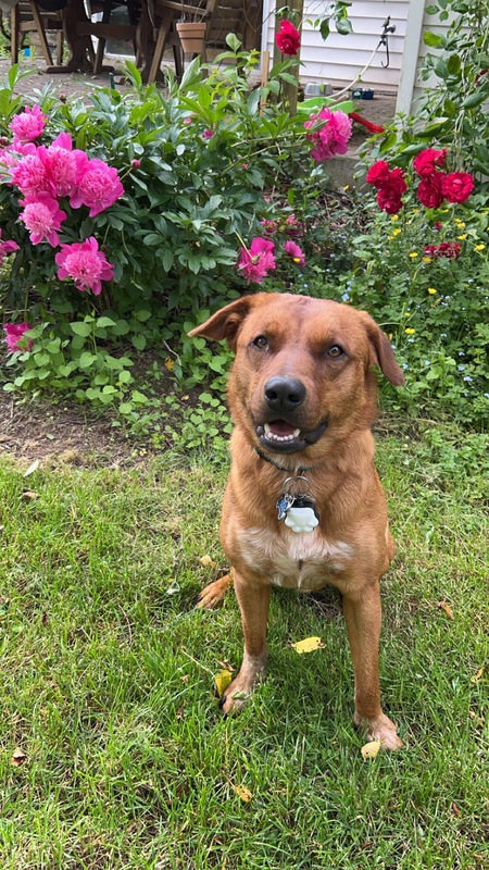 Tucker